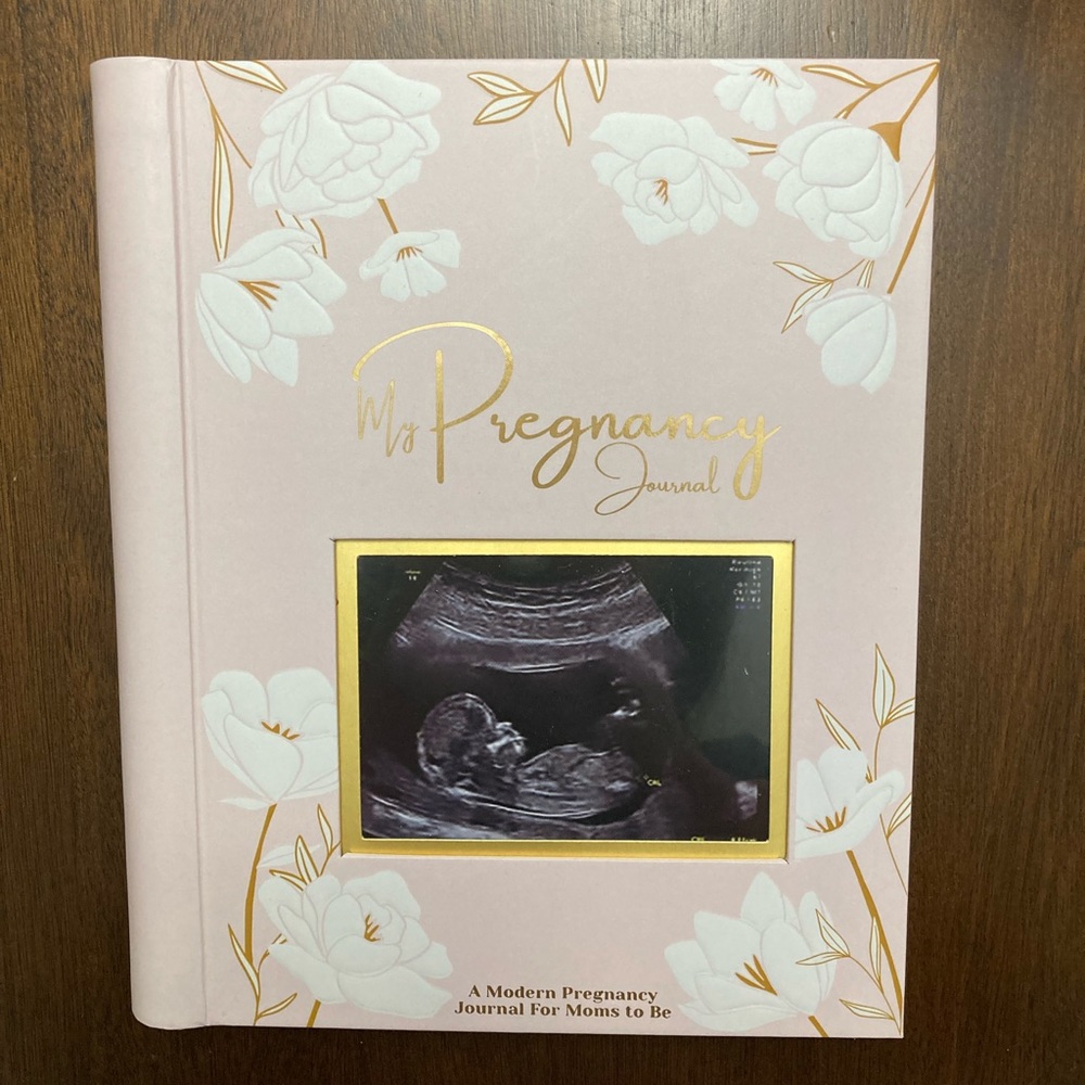 My Pregnancy Journal (Never Used)